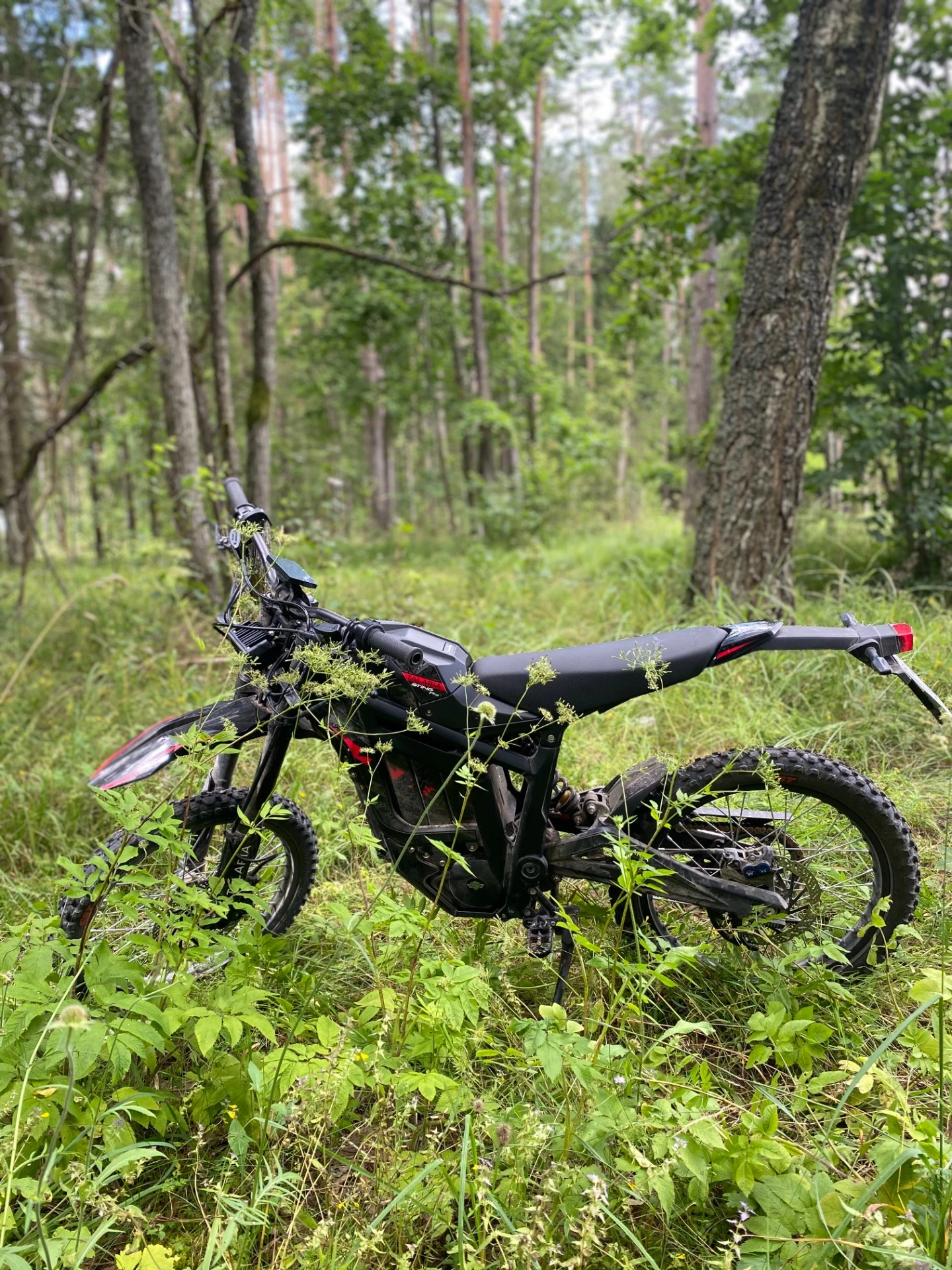 Electric motorcycle Talaria Sting R (L1e) - rental 24 hours 7 days
